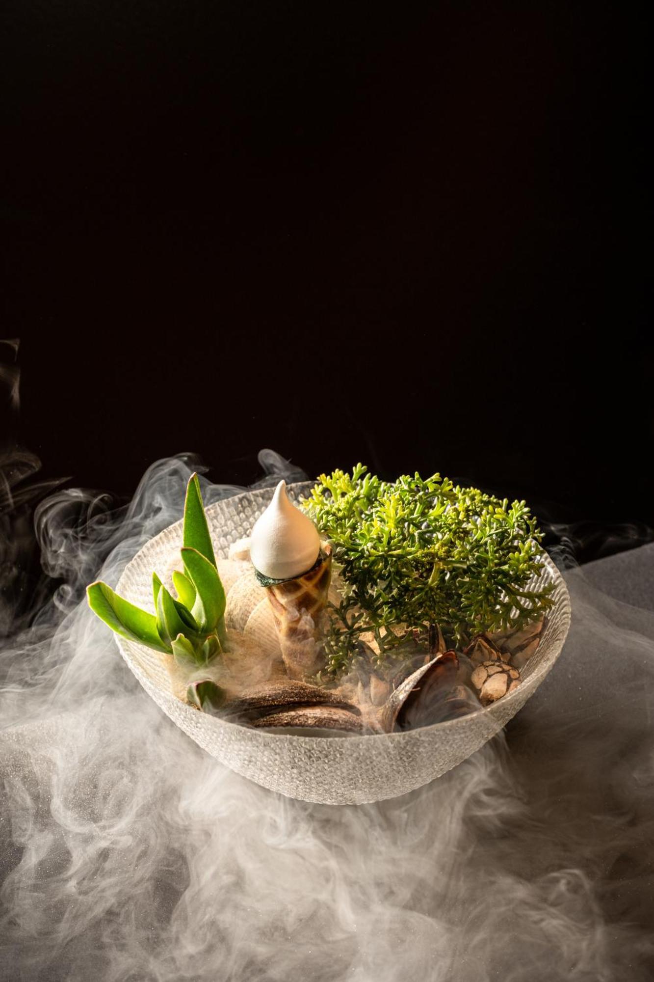 Altis Belem Hotel & Spa, A Member Of Design Hotels Lisboa 外观 照片 A terrarium